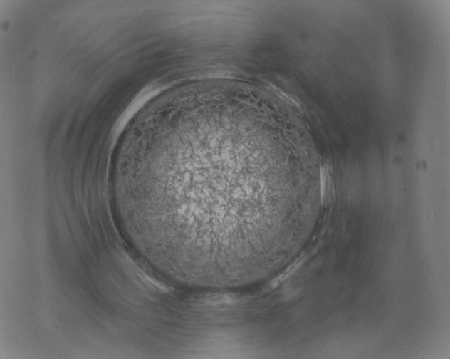 X0000074280195200609081835