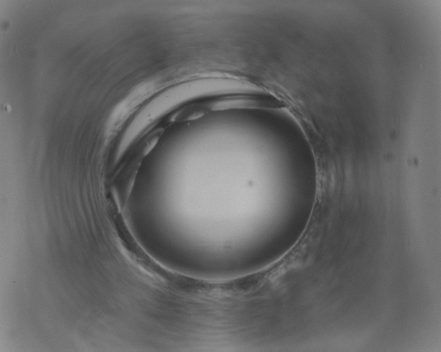 X0000074280197200609081835