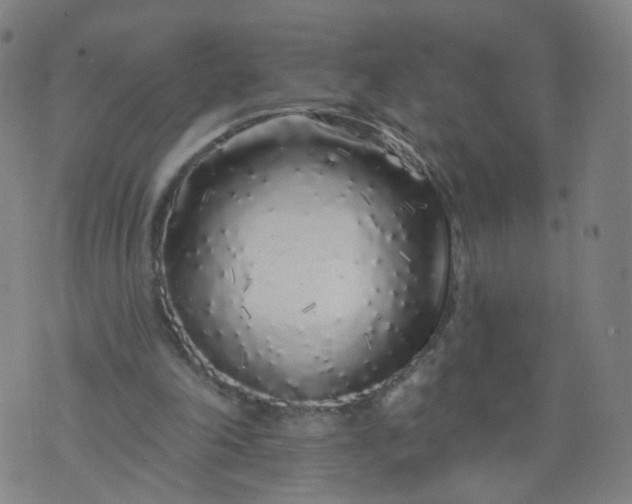 X0000074280198200609081835