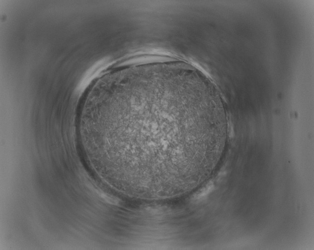 X0000074280199200609081835