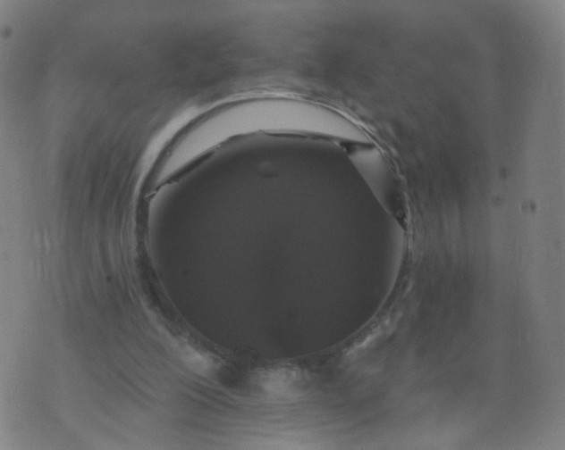 X0000074280200200609081835