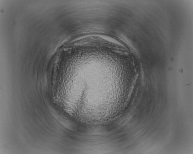 X0000074280202200609081835