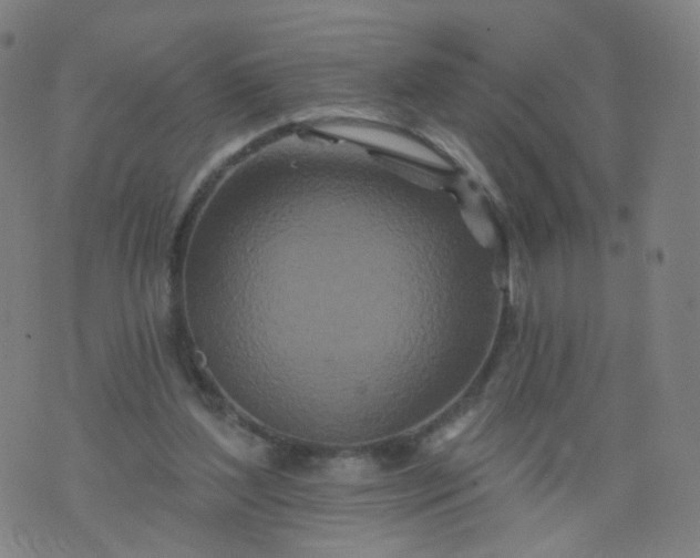 X0000074280204200609081835