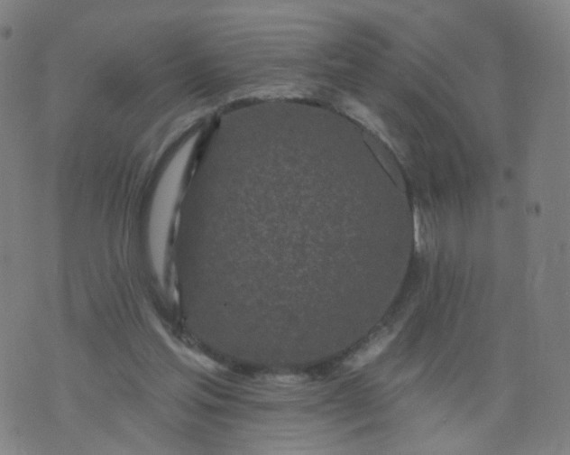 X0000074280205200609081835