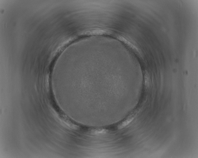 X0000074280206200609081835