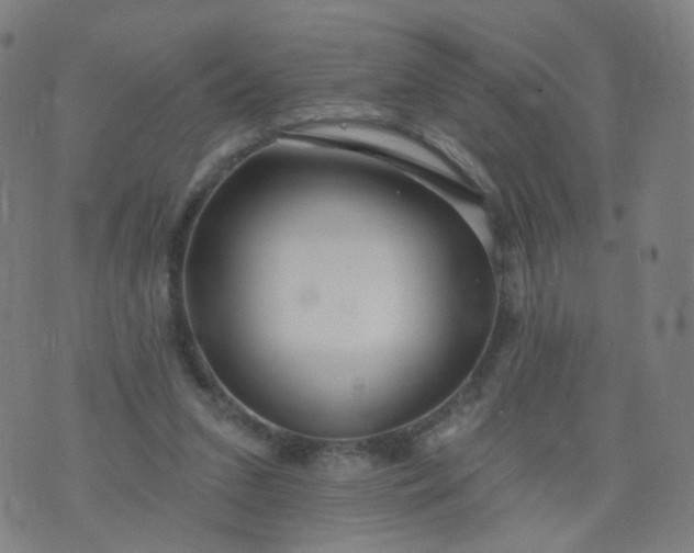 X0000074280207200609081835