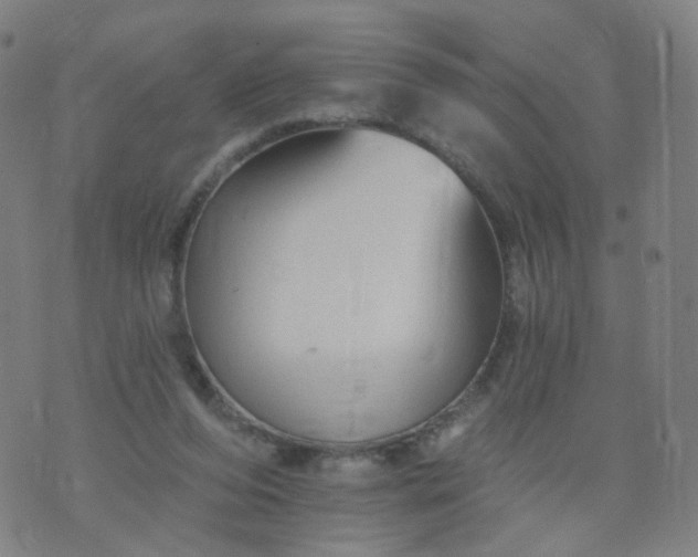 X0000074280208200609081835