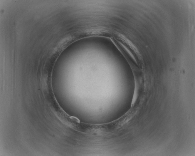 X0000074280209200609081835