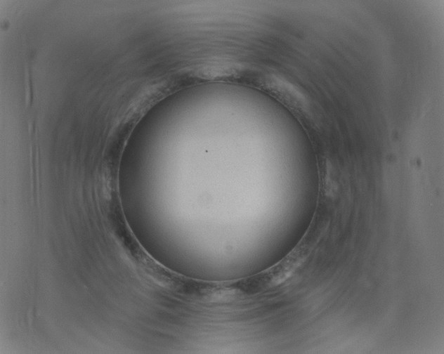 X0000074280210200609081835