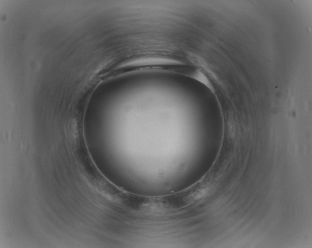 X0000074280211200609081835