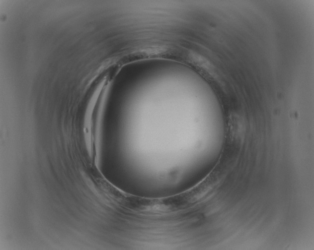 X0000074280212200609081835