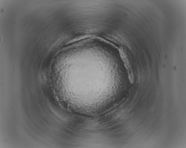 X0000074280214200609081835