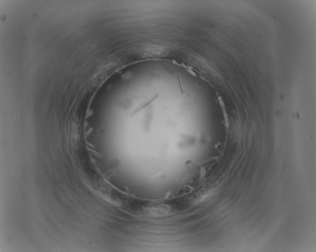 X0000074280215200609081835