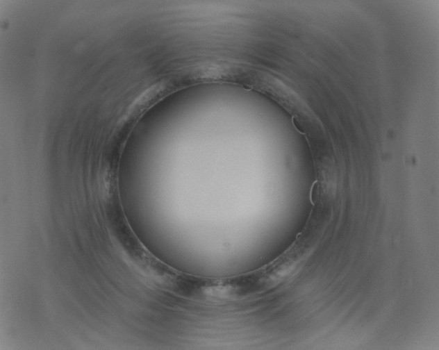 X0000074280216200609081835