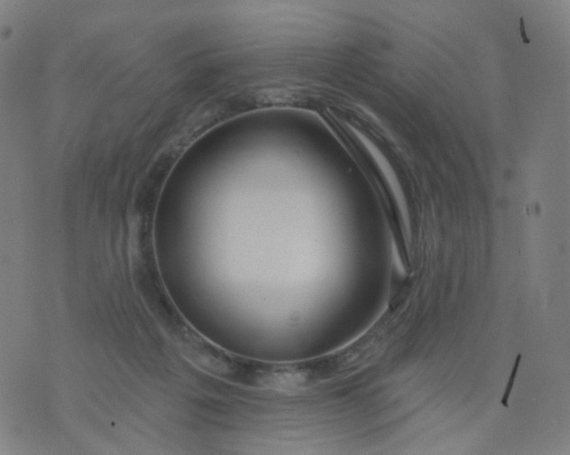 X0000074280217200609081835