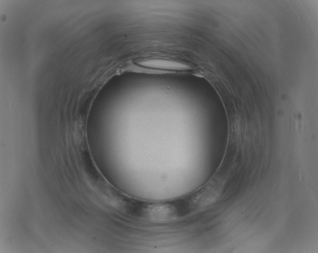 X0000074280218200609081835