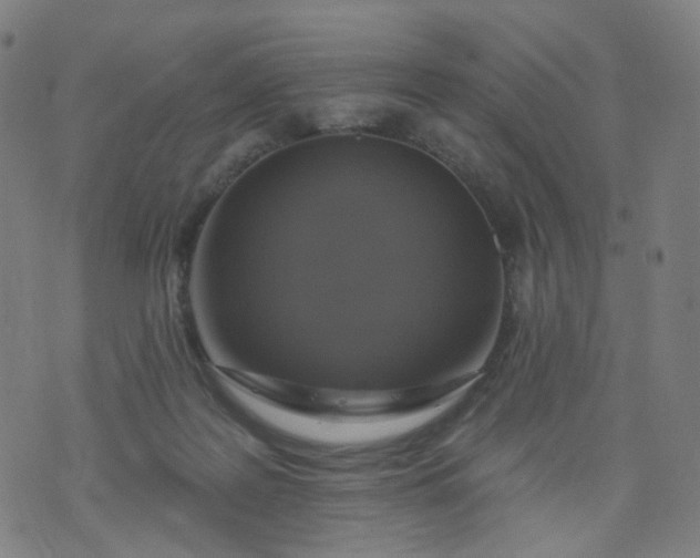 X0000074280219200609081835