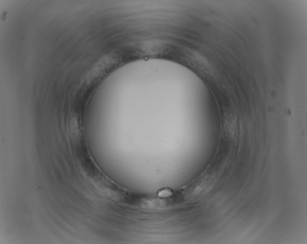 X0000074280220200609081835