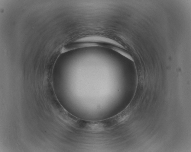 X0000074280221200609081835