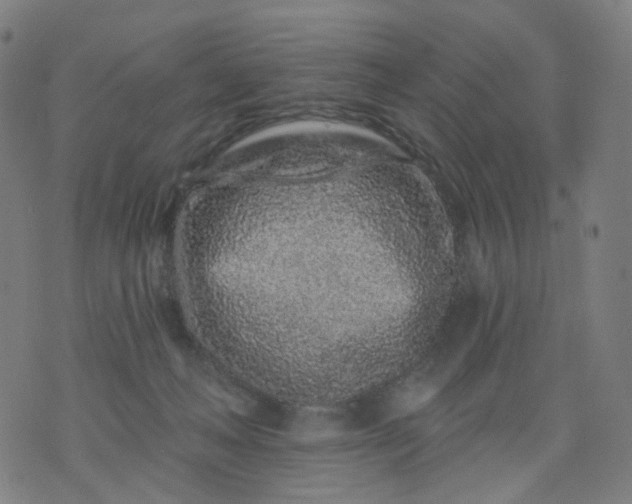 X0000074280222200609081835