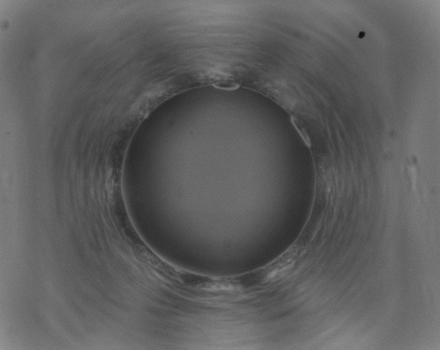 X0000074280223200609081835