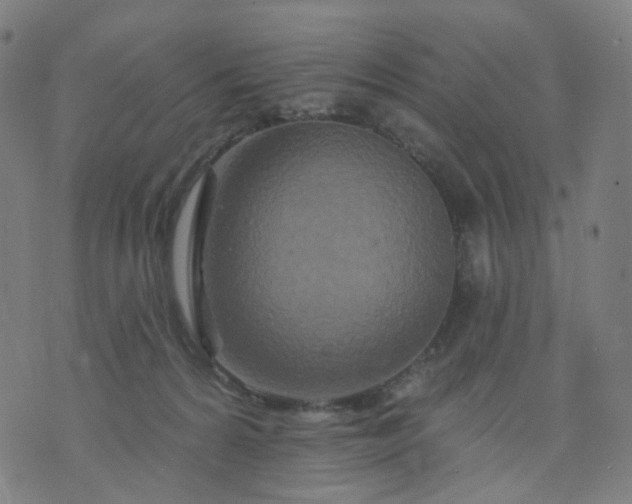 X0000074280224200609081835