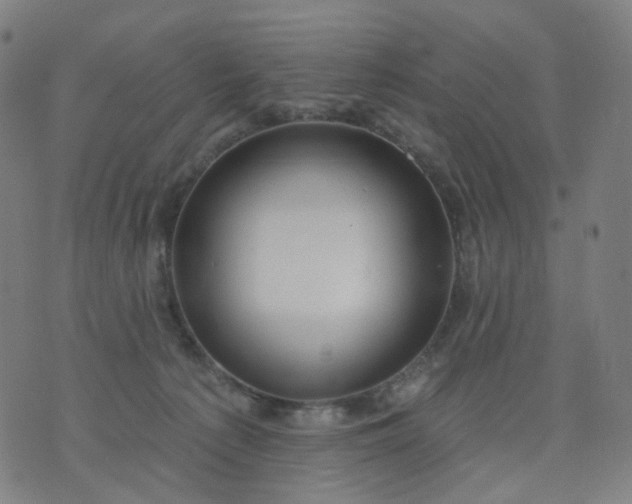 X0000074280225200609081835