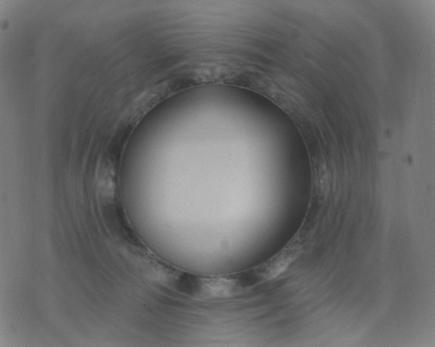 X0000074280226200609081835