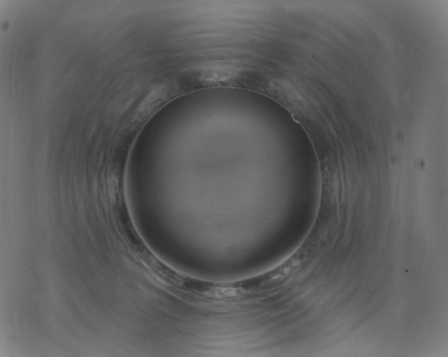 X0000074280227200609081835