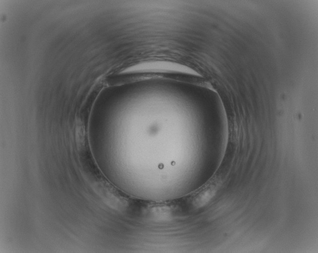 X0000074280228200609081835