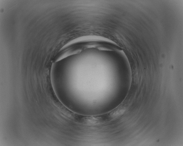 X0000074280229200609081835