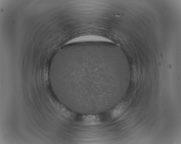 X0000074280230200609081835