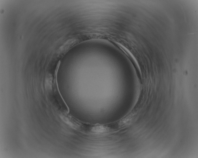 X0000074280231200609081835