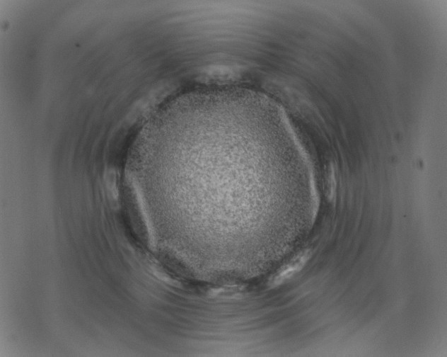 X0000074280232200609081835