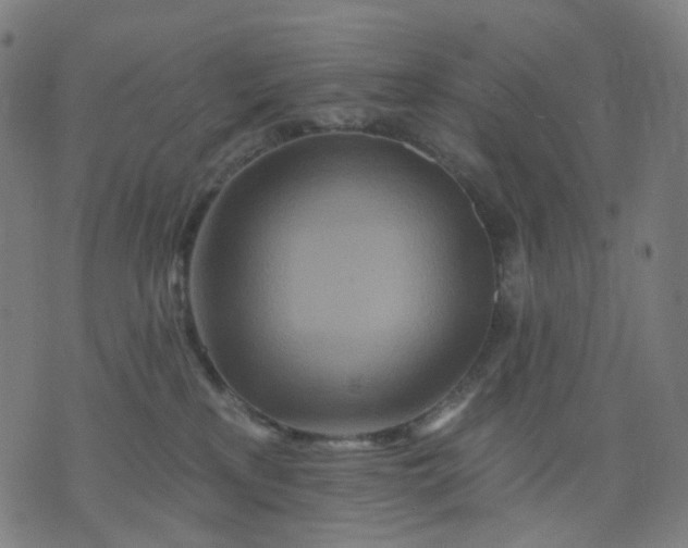 X0000074280233200609081835