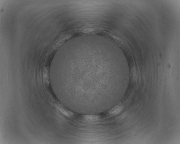 X0000074280234200609081835