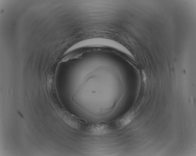 X0000074280235200609081835