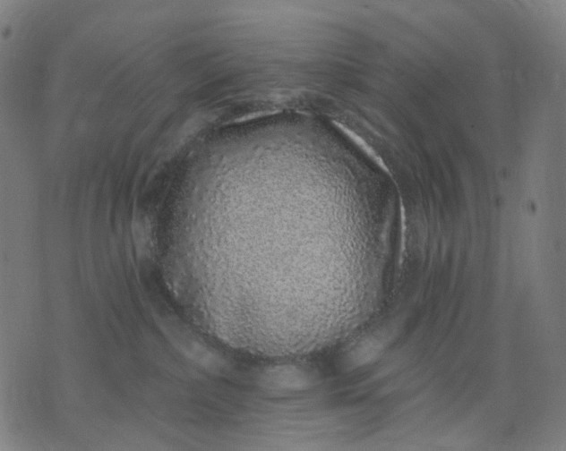 X0000074280236200609081835