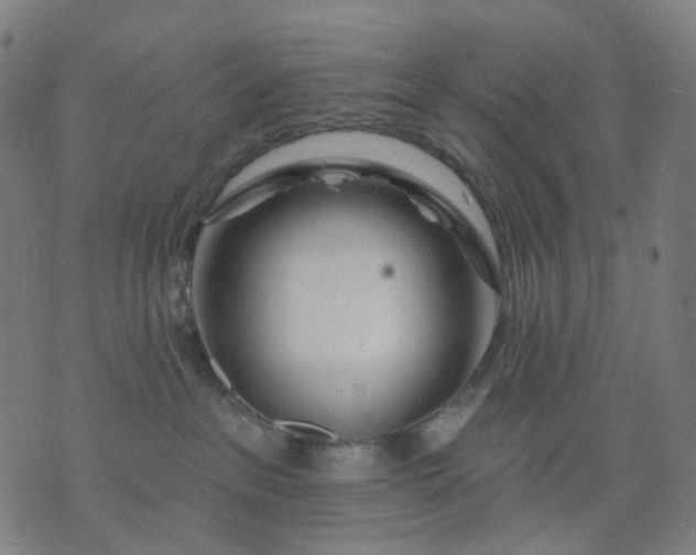 X0000074280237200609081835