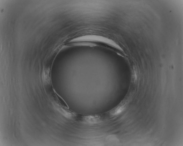 X0000074280239200609081835