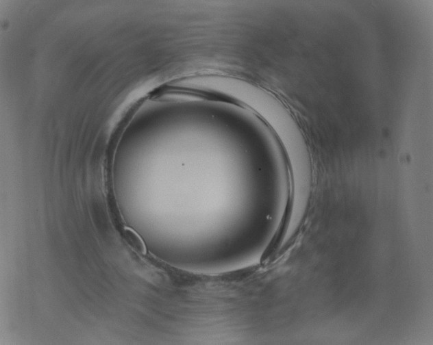 X0000074280244200609081834