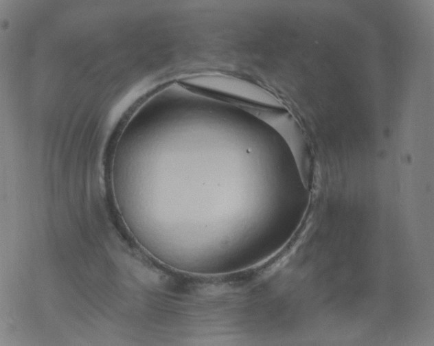 X0000074280246200609081834