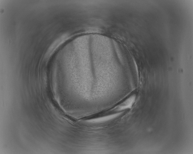 X0000074280247200609081834