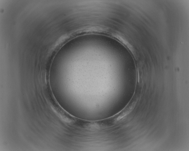 X0000074280253200609081834