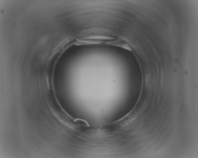 X0000074280254200609081834