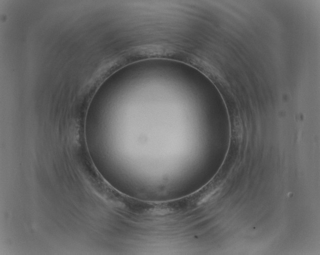 X0000074280255200609081834