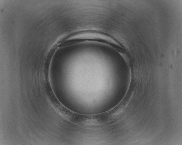 X0000074280256200609081834