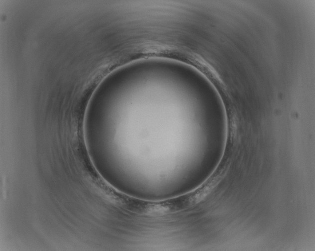 X0000074280257200609081834