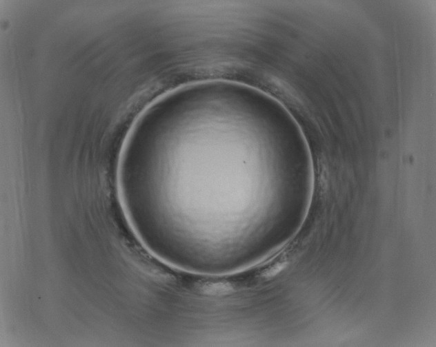 X0000074280258200609081834