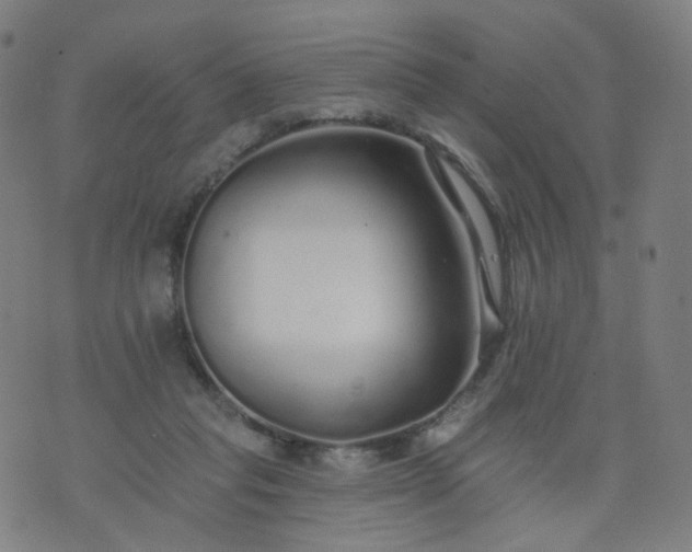 X0000074280261200609081834